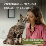 Лакомство для кошек Мнямс лакомые палочки из цыпленка и утки 3х5 г