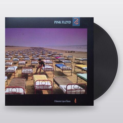 PINK FLOYD A Momentary Lapse Of Reason (Винил)