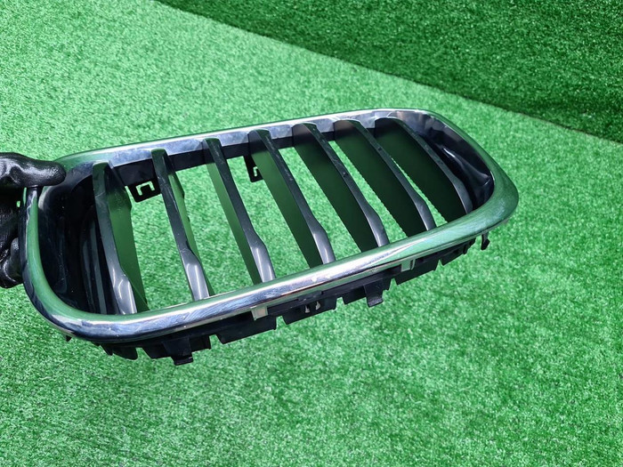 Решетка радиатора левая BMW X3 G01 X4 G02 (17-21)