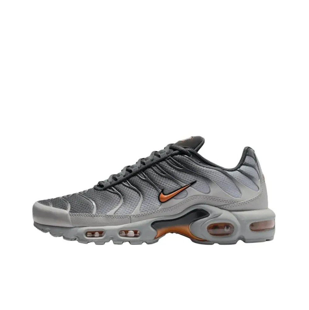 Air Max Plus Platinum Grey