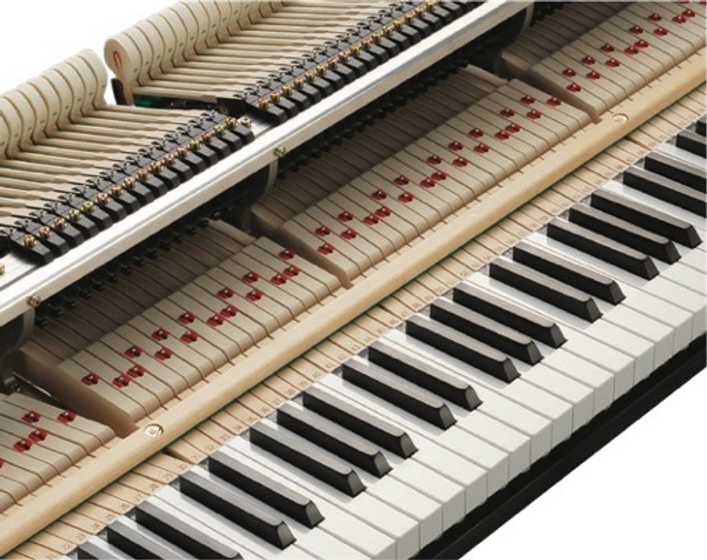 Kawai GL-50