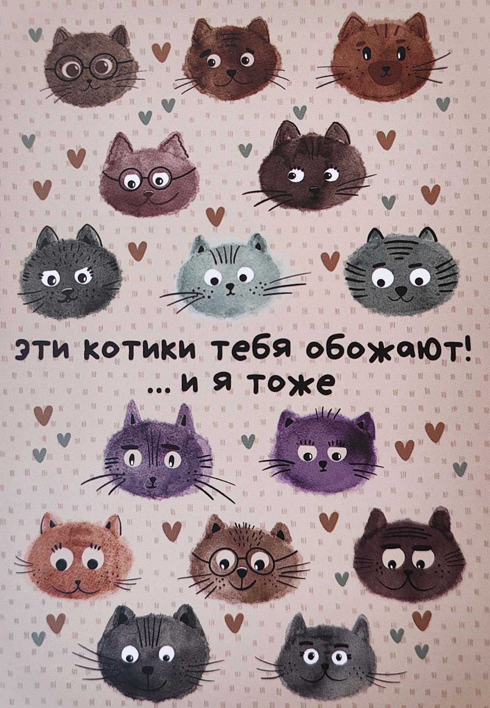 Открытка "Котики"