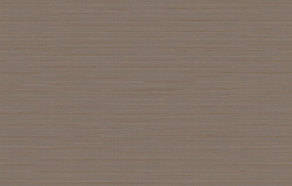 Amazonia / Амазония