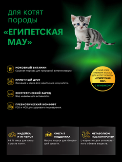 Корм сухой для котят породы Египетская мау, с ягненком, 2кг, QUATTRO