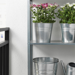 IKEA CHRYSANTHEMUM  (ИКЕА СХРИСАНТХЕМУМ)  -  Растение в горшке - хризантема разные цвета 15 см