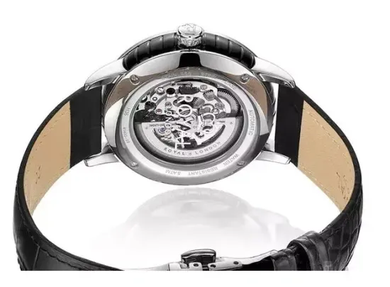 Мужские часы Royal London 41400-02