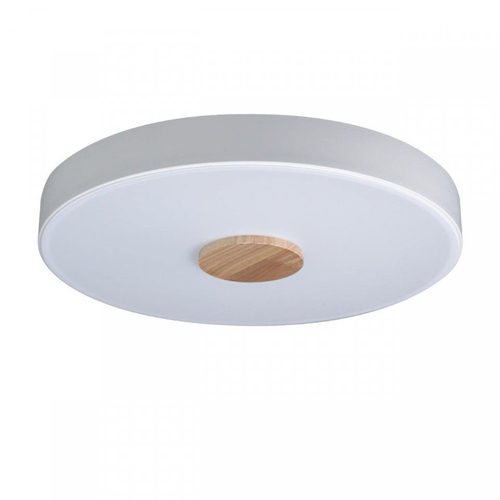 Потолочный светодиодный светильник Loft It Axel 10003/24 White