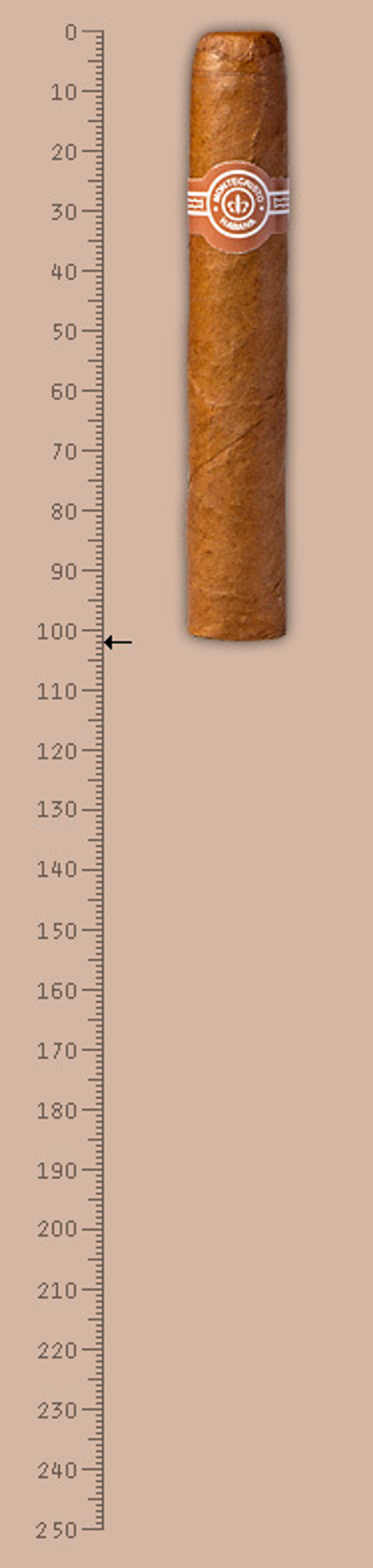 Montecristo No5