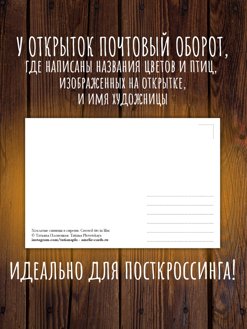 Парочки. Иллюстрации Татьяны Пловецкой. 10 открыток