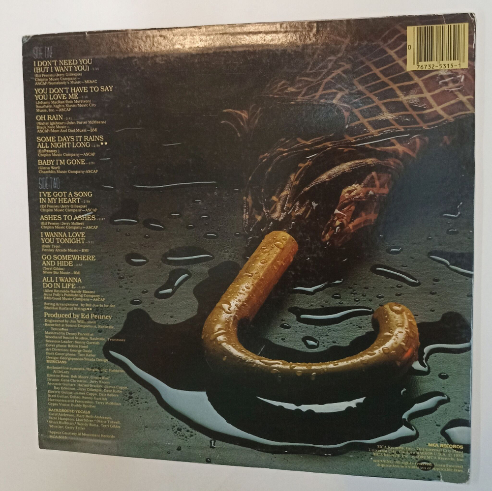 Винтажная виниловая пластинка LP Terri Gibbs Some Days It Rains All Night Long (USA Promo 1982)