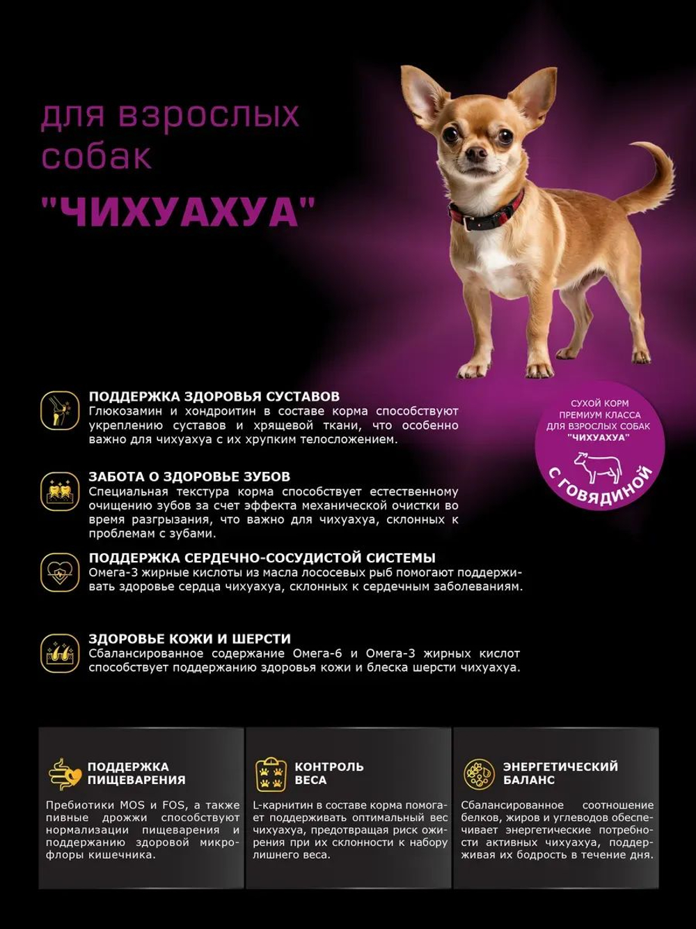 Корм сухой для взрослых собак породы Чихуахуа, с говядиной, 2,5 кг, QUATTRO