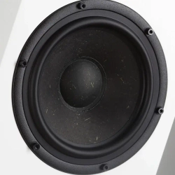 Radiotehnika Gamma 3.02 White Ash напольная профессиональная акустическая система (пара)