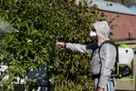 Аккумуляторный садовый опрыскиватель Greenworks G40BPS, 5300007, 40v, без АКБ и ЗУ