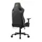 Cougar Defensor Gray F