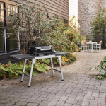 Газовый гриль Weber Weber Slate GP Premium, 43 см