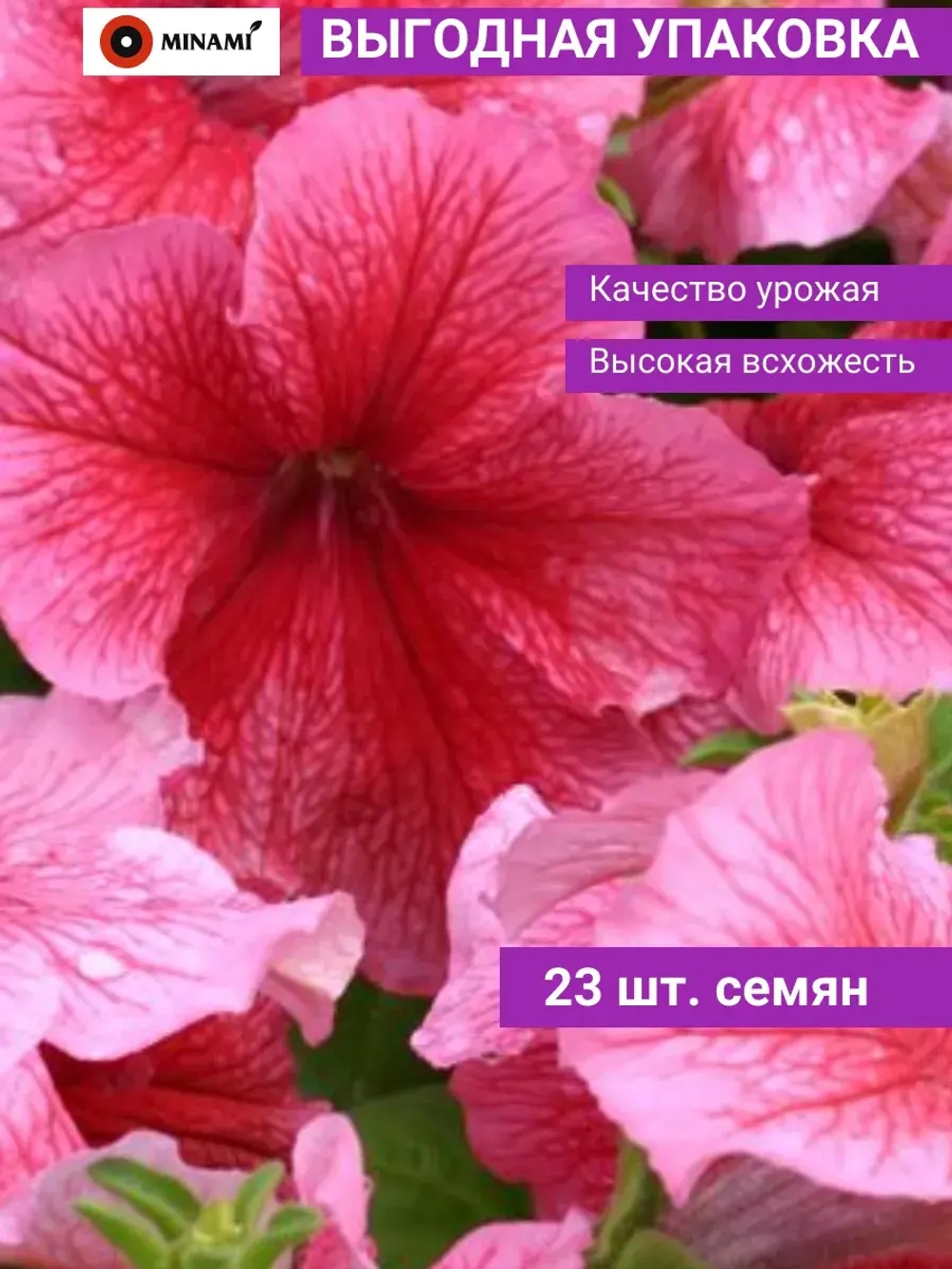 Петуния грандифлора Дэдди F1 Ред семена 23шт