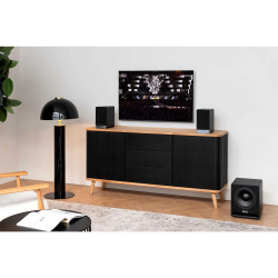 Сабвуфер Radiotehnika Alfa 1.05 Black Ash