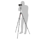 Штатив Manfrotto Befree Advanced Travel Twist, карбоновый, с шаровой головкой (MKBFRTC4-BH)