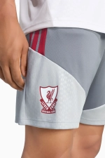 Шорты adidas Liverpool FC 26/27 Training - серый