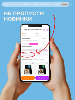 Корм сухой для взрослых кошек породы Британская короткошерстная, с лососем, 2 кг, QUATTRO