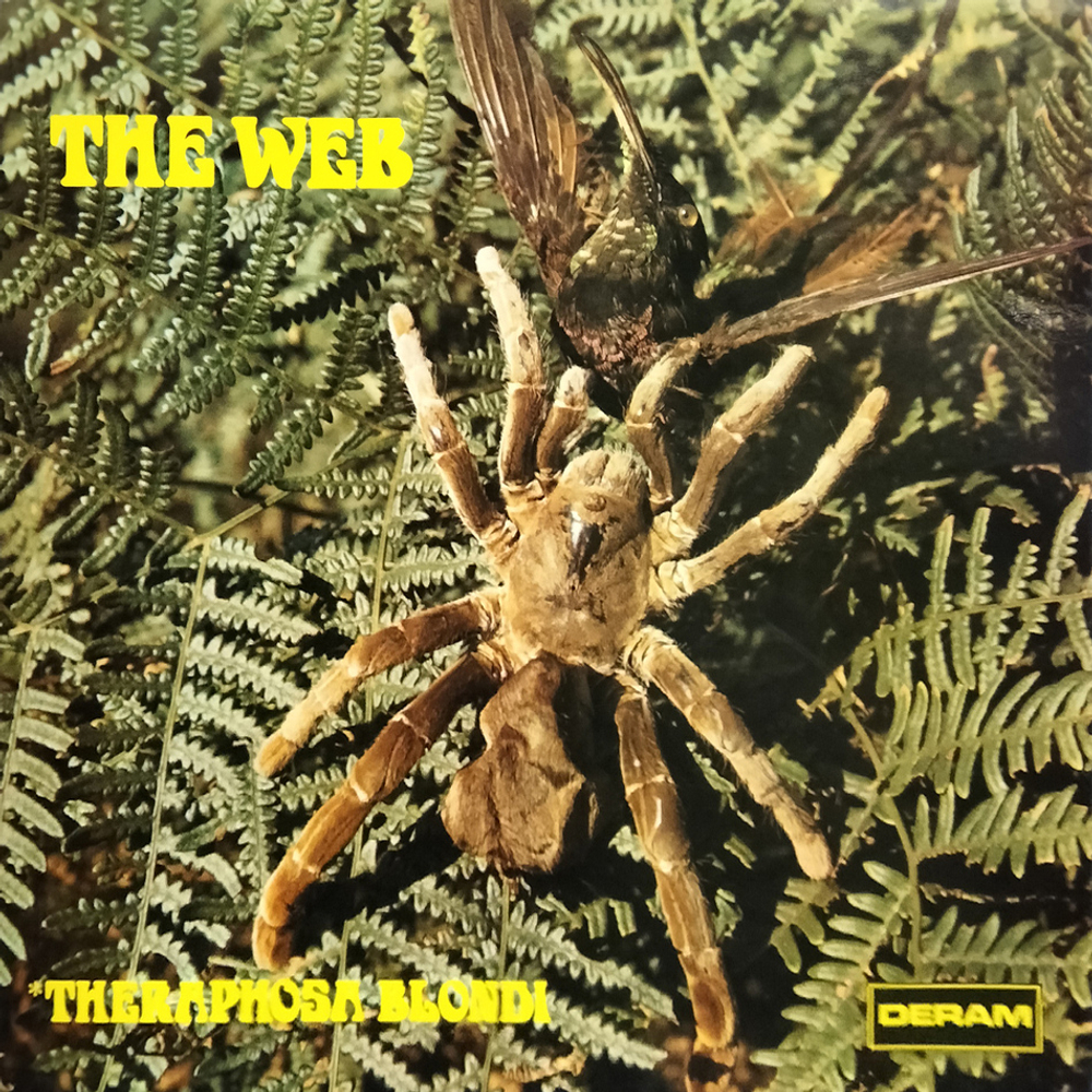 The Web / Theraphosa Blondi (LP)