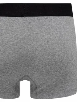 Трусы мужские ( набор 2 шт. ) LEVI'S SOLID BASIC TRUNK ORGANIC CO 2P