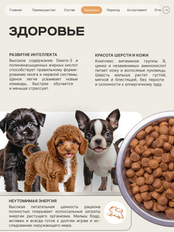 Quattro корм для щенков породы Французский бульдог, с индейкой, 6 кг, QUATTRO