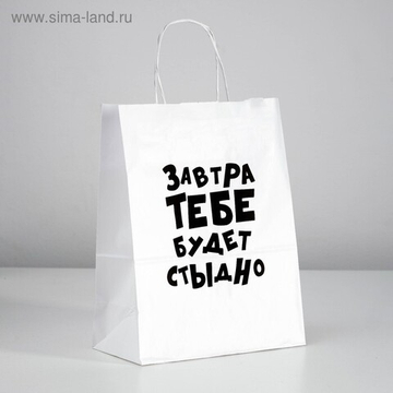 Пакет подарочный «Завтра тебе будет стыдно», 24 х 10,5 х 32 см, 1 шт