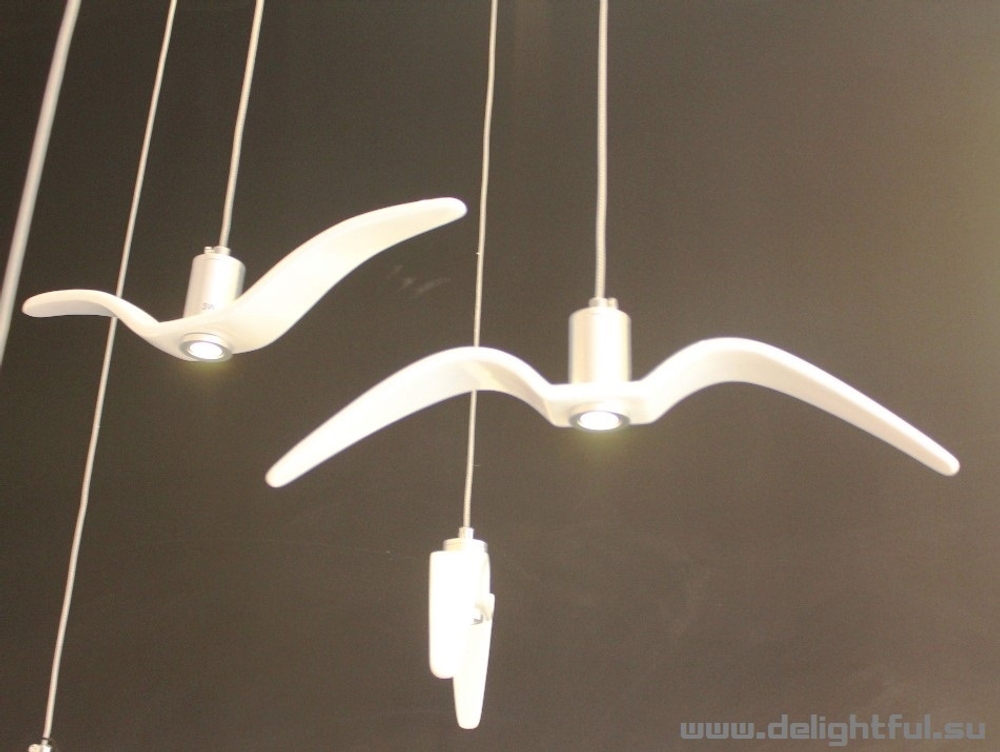 Night-Birds-Brokis 3