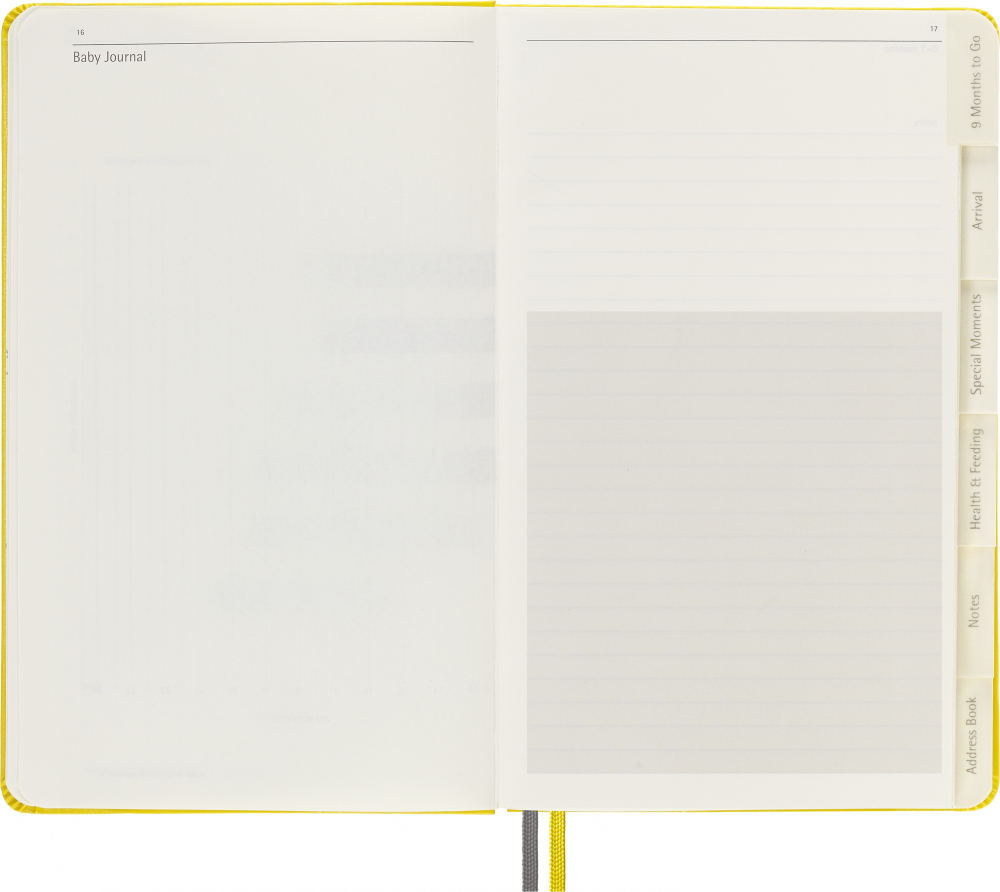 Блокнот Moleskine Passion Baby (PASBABY) 13х21см в подарочной коробке, желтый