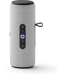Умная колонка Yandex Стрит Алиса серый 30W 2.0 BT/Wi-Fi 10м 3300mAh (YNDX-00030GRY)