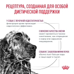 Корм для собак Royal Canin Ренал RF-14 при хрон. почечной недостаточности, 2кг