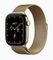 Apple Watch Series 12 Titanium