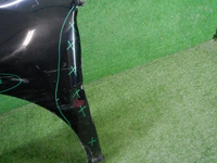 DSCN6108.JPG