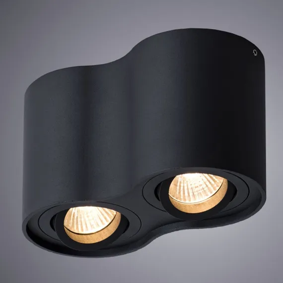 Точечный светильник Falcon A5645PL-2BK Arte Lamp