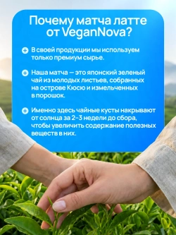 Матча латте с коллагеном (100гр)