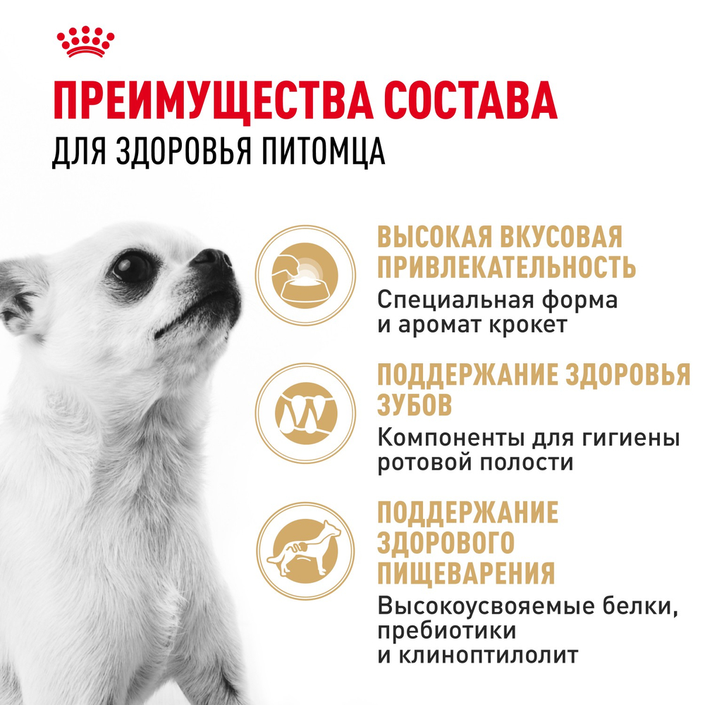 Royal Canin Chihuahua Adult Чихуахуа Эдалт Корм сухой для взрослых собак породы Чихуахуа от 8 месяцев 500г