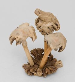 Decor and Gift 50-001 Статуэтка «Лягушка на грибе» 20 см