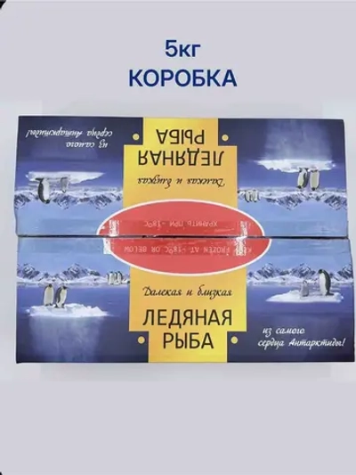 Ледяная рыба свежемороженая 5кг коробка