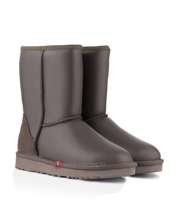 MEN'S SHORT METALLIC II Chocolate