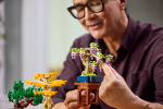 Конструктор LEGO The Botanical Collection 10373 Mini Bonsai Trees