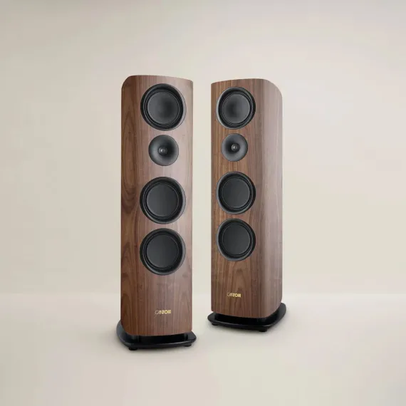 Canton Reference 5 GS Edition Walnut