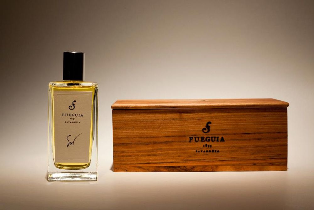 Fueguia 1833 Sur