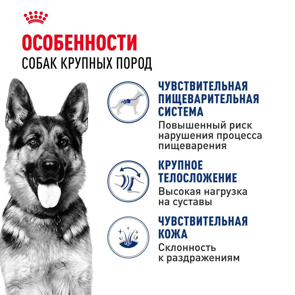 Royal Canin Maxi Adult Макси Эдалт Корм сухой для взрослых собак крупных размеров от 15 месяцев до 5 лет 15 кг