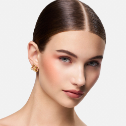 Dolce&Gabbana Classic Cheeks&Eyes Match - Румяна для щек оттенок 06 PLAYFUL ROSEWOOD, 8 g
