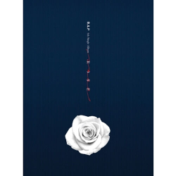 Альбом B.A.P - ROSE 6th Single Album B Version
