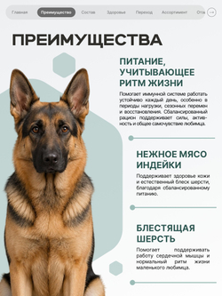 Корм сухой полнорационный для собак средних и крупных пород SF Immuno Balance, (гистиоцитарные опухоли), 12 кг, QUATTRO