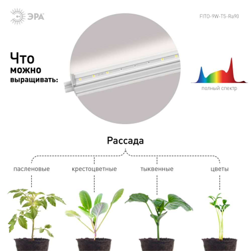 Светильник для растений, фитолампа светодиодная линейная ЭРА FITO-9W-T5-Ra90 полного спектра 9 Вт Т5 | Линейные фито светильники