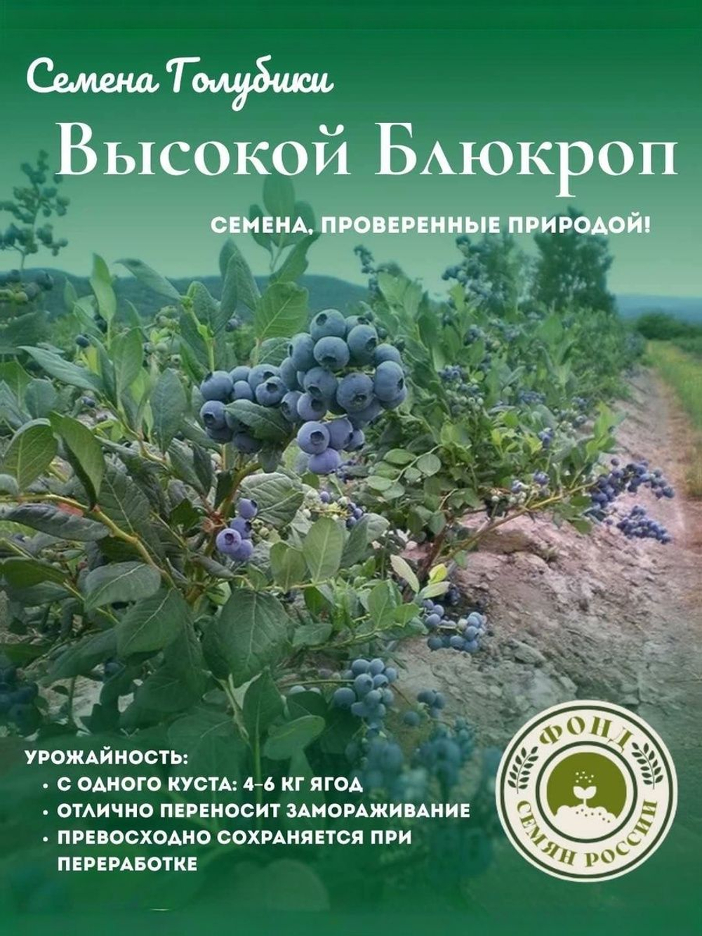Голубика, Аврора, Семена Ягод, 0.01 гр.