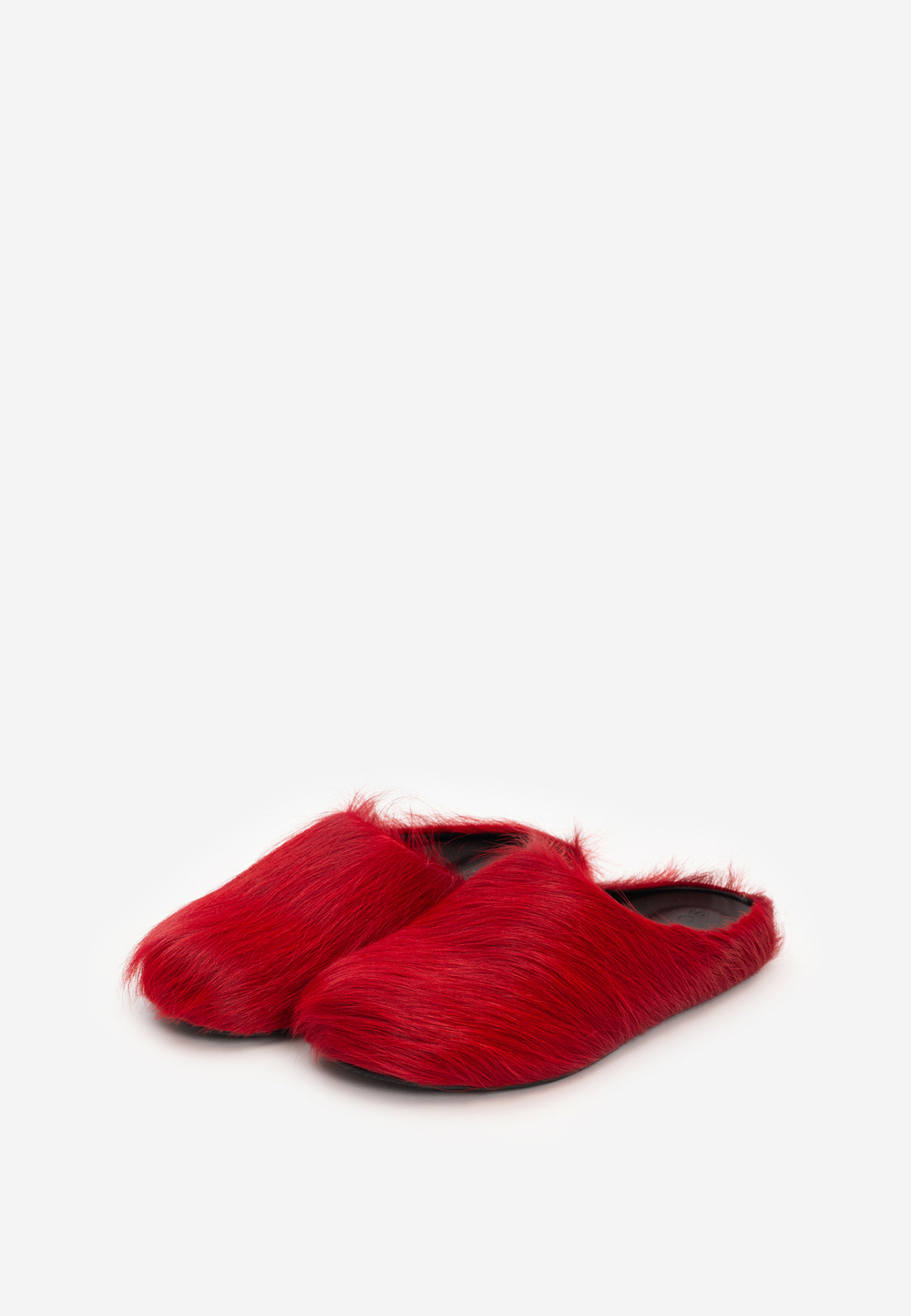 mule red fur